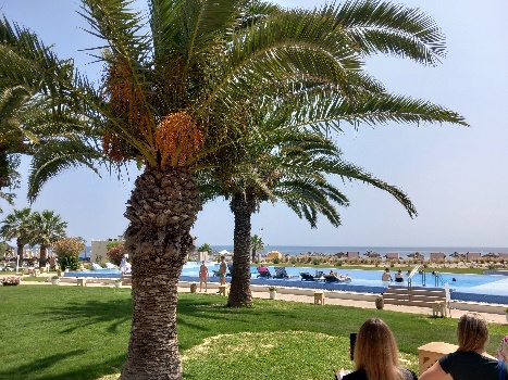 Sentido Bellevue