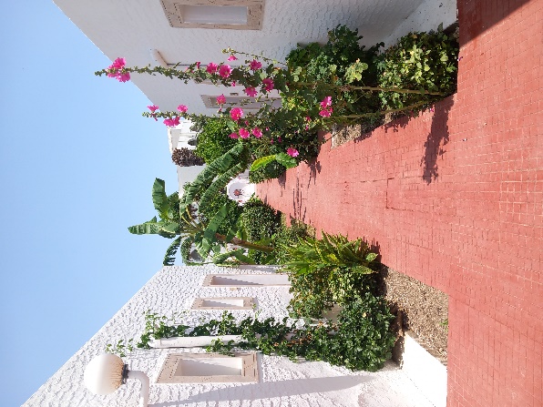 Club Novostar Sol Azur Beach Congress